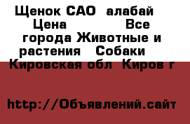 Щенок САО (алабай) › Цена ­ 10 000 - Все города Животные и растения » Собаки   . Кировская обл.,Киров г.